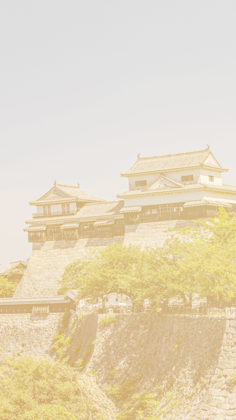 写真:松山城の外観